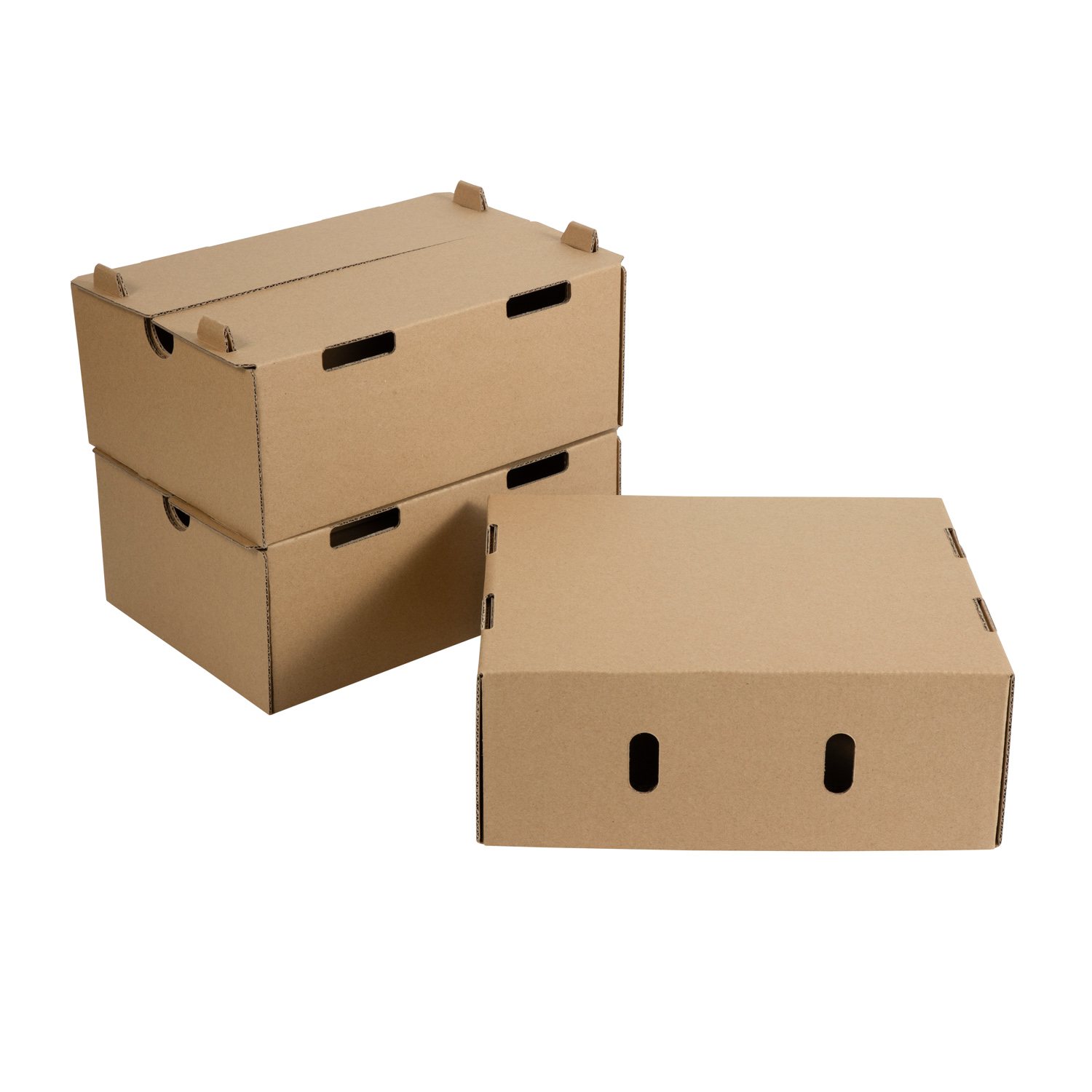 folding cartons packaging example