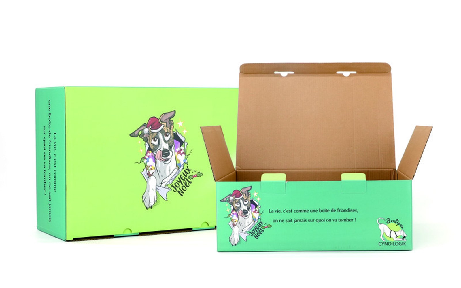 custom pet food folding boxes