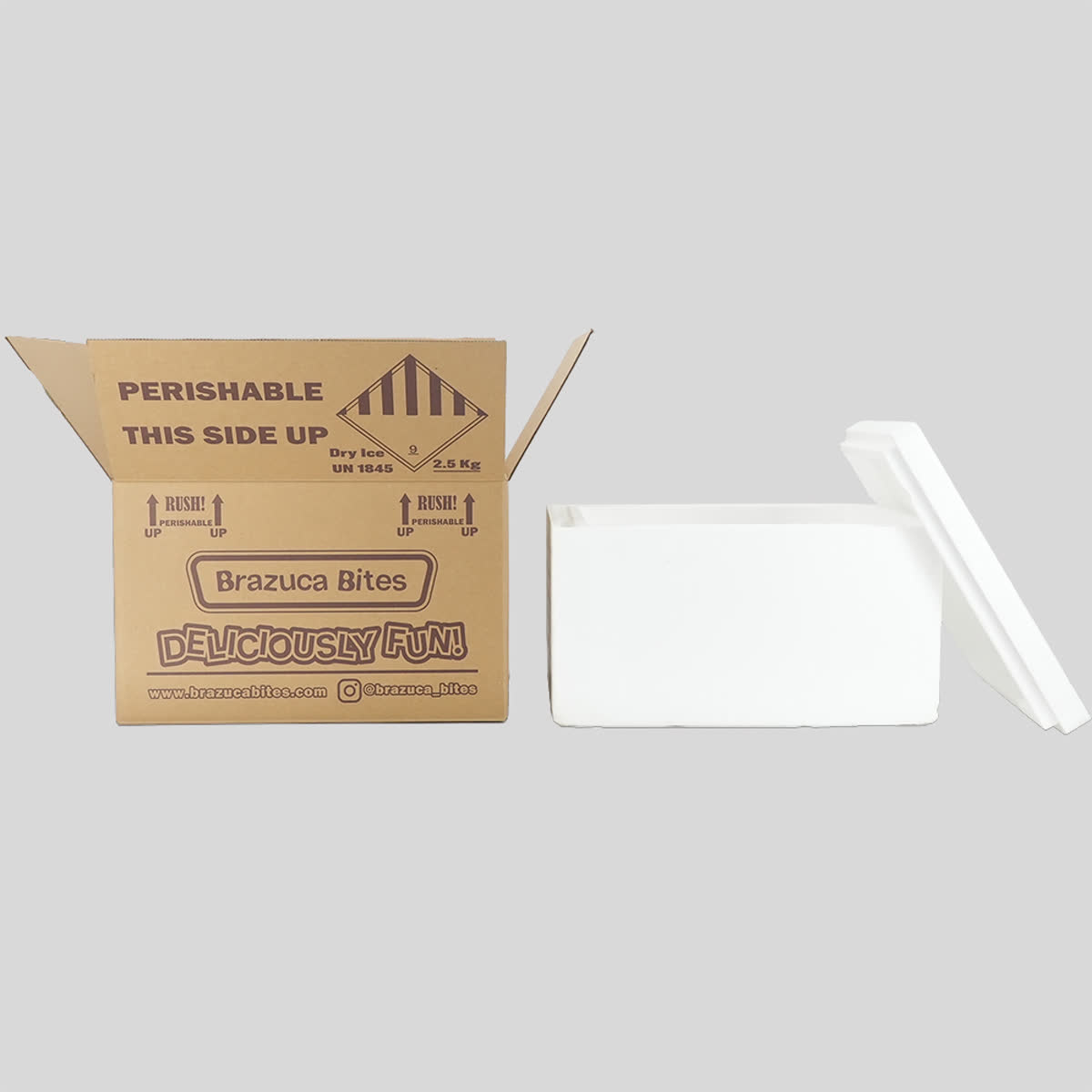 outer carton and foam box system for cold chain shipping